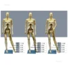 Modern Gold Mannequins for Women's Clothing Stylish Plastic Full Body Mannequins Simple Adult Mannequins for Clothing Stores L 6