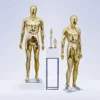 Modern Gold Mannequins for Women's Clothing Stylish Plastic Full Body Mannequins Simple Adult Mannequins for Clothing Stores L 4